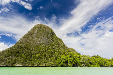 Blick auf vegetationsbedeckte Inselchen in der Wayag-Bucht, Raja Ampat, Indonesien, Südostasien, Asien - RHPLF29502