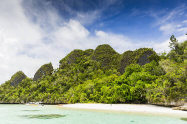 Blick auf vegetationsbedeckte Inselchen in der Wayag-Bucht, Raja Ampat, Indonesien, Südostasien, Asien - RHPLF29512