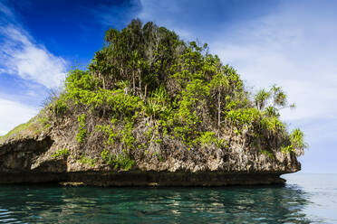 Blick auf vegetationsbedeckte Inselchen in der Wayag-Bucht, Raja Ampat, Indonesien, Südostasien, Asien - RHPLF29513