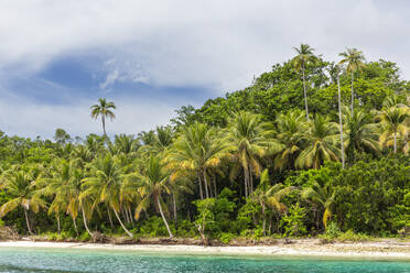 White sandy beaches and coconut trees on Batu Hatrim, Raja Ampat, Indonesia, Southeast Asia, Asia - RHPLF29514