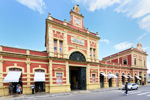 Adolpho Lisboa market hall, Manaus, Amazonia State, Brazil, South America - RHPLF29585