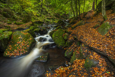 Waterfall and path, autumn colour, Wyming Brook, Peak District National Park, Derbyshire, England, United Kingdom, Europe - RHPLF29603