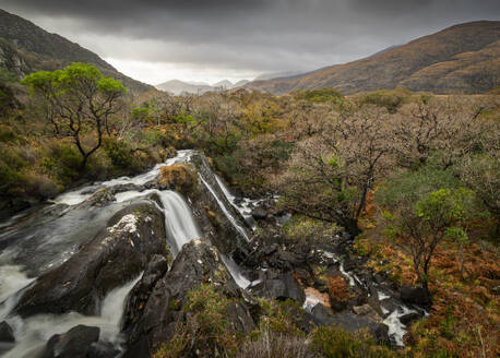 Waterfall and forest, Killarney National Park, County Kerry, Munster, Republic of Ireland (Eire), Europe - RHPLF29605