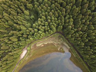 Luftaufnahme des Sees Lagoa Empadadas und einiger Pinienbäume, Insel Sao Miguel, Azoren, Portugal, Atlantik, Europa - RHPLF29646