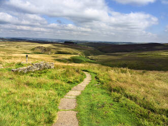 Path across Haworth Moor, Yorkshire, England, United Kingdom, Europe - RHPLF29719