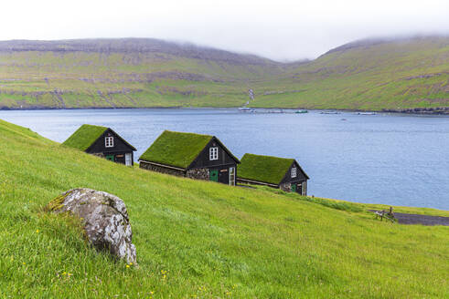 Houses with turf roofs, Bour village, Vagar island, Faroe islands, Denmark, Europe - RHPLF29854