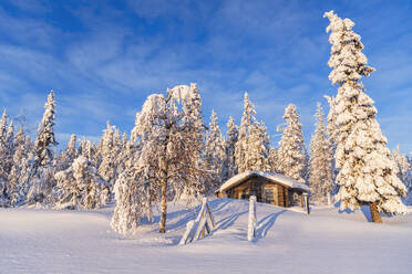Blue sky over lone cottage among boreal forest covered with ice and snow, Kangos, Norrbotten, Swedish Lapland, Sweden, Scandinavia, Europe - RHPLF29868