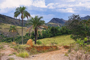 Straße mit roter Erde, Landschaft Serra da Canastra, Bundesstaat Minas Gerais, Brasilien, Südamerika - RHPLF29895