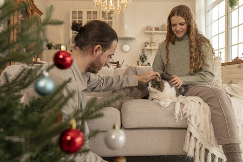 Lächelndes Paar streichelt Katze auf dem Sofa in der Nähe des Weihnachtsbaums zu Hause - VPIF08953