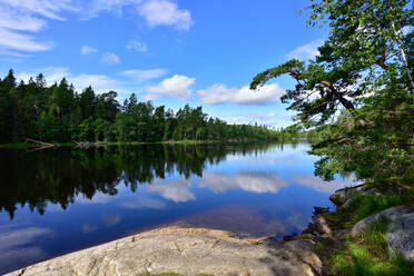 Schweden, Stockholmer Land, Klarer See, in dem sich die Wolken und der umliegende Wald spiegeln - FDF00406