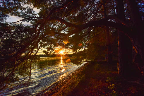 Schweden, Landkreis Gavleborg, Hedesunda, Bewaldetes Seeufer bei Sonnenuntergang - FDF00410