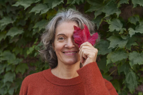 Lächelnde Frau bedeckt Auge mit Ahornblatt in der Nähe von Pflanzen - AAZF01370