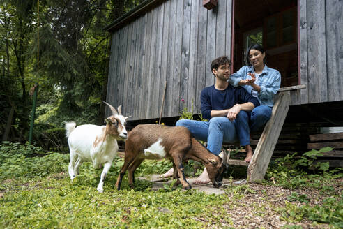 Smiling woman talking to man with goats near log cabin - JOSEF22157