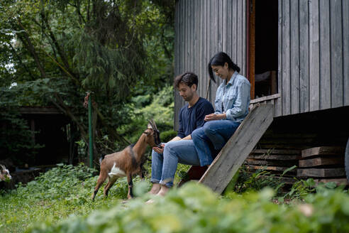 Woman with man feeding and petting goat near wooden cabin - JOSEF22208