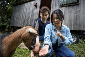 Smiling man and woman feeding goat in front of wooden cabin - JOSEF22211