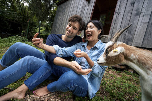 Cheerful couple taking selfie and feeding goat in front of wooden cabin - JOSEF22214