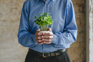 Hände eines Geschäftsmannes halten eine Topfpflanze - YTF01466