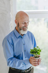 Happy businessman holding plant near window - YTF01468