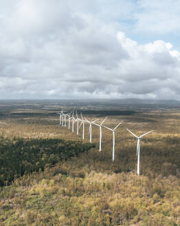 Luftaufnahme von Windturbinen in einem Feld mit Bäumen im Bras d'Eau National Park, Poste Lafayette, Flacq, Mauritius. - AAEF24647