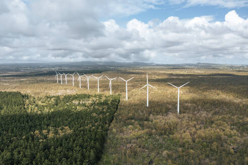 Luftaufnahme von Windturbinen in einem Feld mit Bäumen im Bras d'Eau National Park, Poste Lafayette, Flacq, Mauritius. - AAEF24648