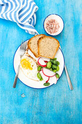 Top view of healthy lunch bowl with slices of bread, fried egg, fresh cucamelon, radish and tomato placed on blue surface near cloth with a small bowl of pink salt on the side - ADSF49522