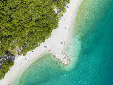 Kroatien, Gespanschaft Split-Dalmatien, Krvavica, Luftaufnahme eines bewaldeten Strandes im Sommer - TAMF04015