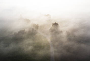 Österreich, Oberösterreich, Landstraße in dichten Morgennebel gehüllt - WWF06609