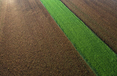 Austria, Upper Austria, Drone view of green and brown fields - WWF06613