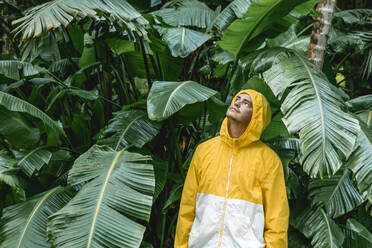 Young man wearing raincoat and standing in front of trees - WVF02037