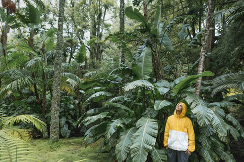 Thoughtful man standing in front of plants - WVF02038