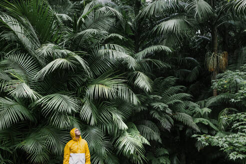 Young man standing near palm trees in rainforest - WVF02040