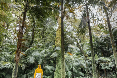 Mann steht unter Palmen im Regenwald - WVF02042