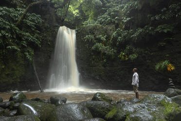 Junger Mann betrachtet einen Wasserfall im Regenwald - WVF02072