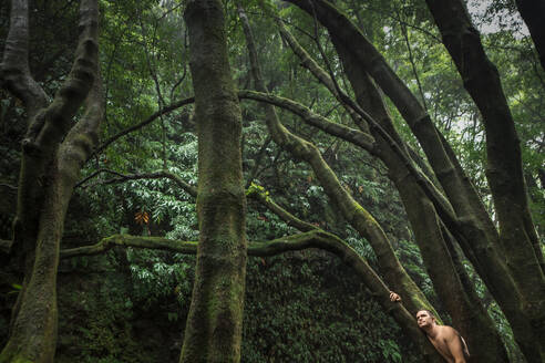 Mann ohne Hemd lehnt sich im Wald an einen Baumstamm - WVF02079