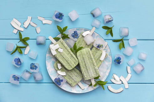 Studio shot of ice cubes with edible flowers and homemade mint and coconut popsicles - GWF07944