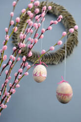 Easter eggs hanging from pink pussy willow branches - GISF00999