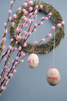 Ostereier hängen an rosa Weidenzweigen - GISF00999