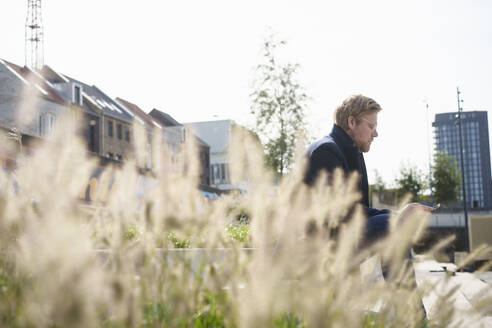 Businessman using smart phone sitting near plants on sunny day - KNSF10023