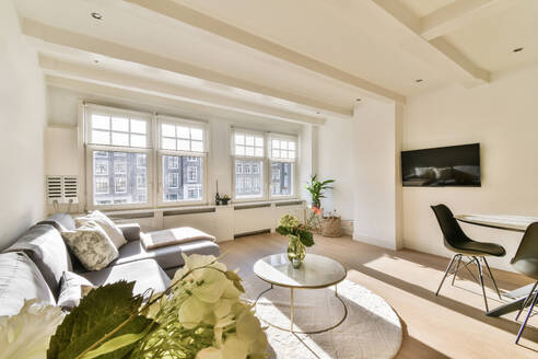 Comfortable sofa with coffee table and television next to bright windows in spacious living room at modern apartment - ADSF49804