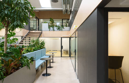 Elegant coworking office in Madrid Spain features indoor greenery sleek stairway and transparent partitions accentuating the modern design - ADSF49861