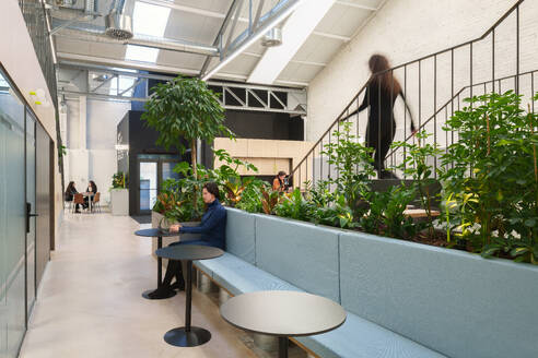 Elegant coworking office in Madrid Spain features indoor greenery sleek stairway and transparent partitions accentuating the modern design - ADSF49862