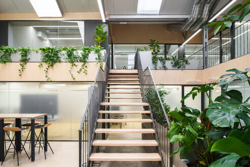 Elegant coworking office in Madrid Spain featuring a bright airy environment with professionals at work green plants and partitioned spaces - ADSF49863