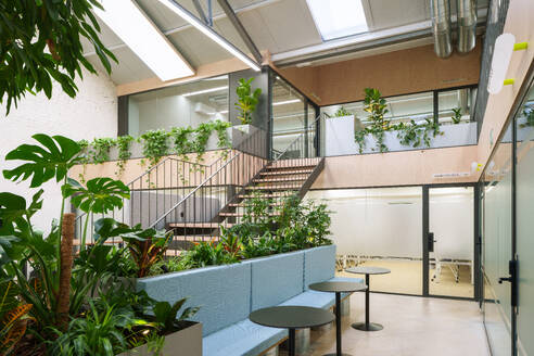 Elegant coworking office in Madrid Spain features indoor greenery sleek stairway and transparent partitions accentuating the modern design - ADSF49864