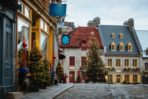 A charming old street adorned with vibrant Christmas decorations and illuminated trees, capturing the holiday spirit in a historic setting in Quebec, Canada - ADSF49947