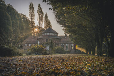 Deutschland, Hamburg, Herbstlaub vor der Trinkhalle bei Sonnenuntergang - KEBF02799