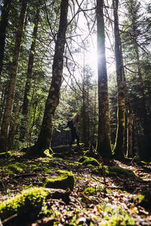 Junge Frau spaziert im Wald an einem sonnigen Tag - RSGF00984