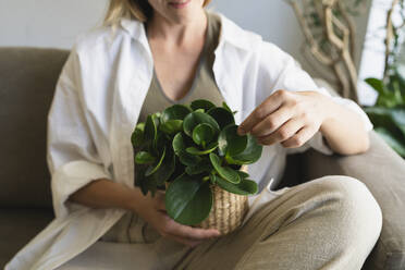 Woman holding potted plant on sofa at home - SVKF01738