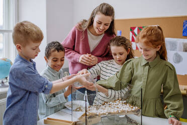 Young teacher making a little greenhouse with their pupils, learning them about planting. - HPIF31540