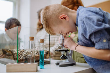 Kleiner Junge schaut in ein Mikroskop während des naturwissenschaftlichen Unterrichts. - HPIF31543