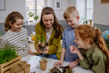 Young teacher learning her pupils how to take care about plants. - HPIF31556